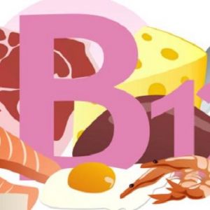 B12 Vitamini YÃ¼ksek Olan Yiyecekler Hangisidir